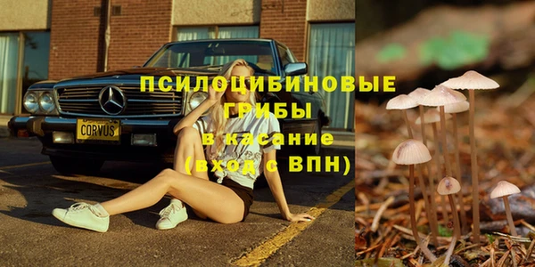 крисы Балахна