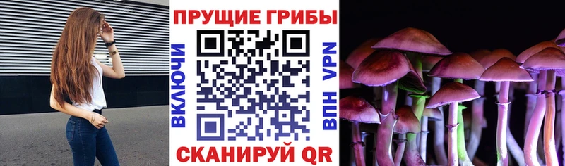 дарк нет официальный сайт  Реутов  Галлюциногенные грибы мицелий  ссылка на мегу  